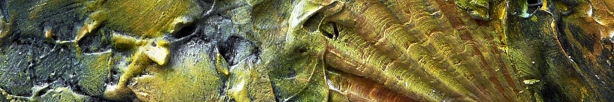 Bildausschnitt Fisch